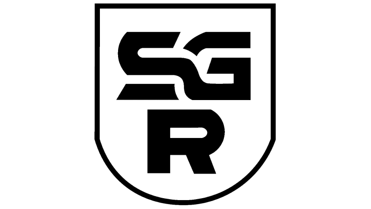 Logo SG Reichenbach 16 9